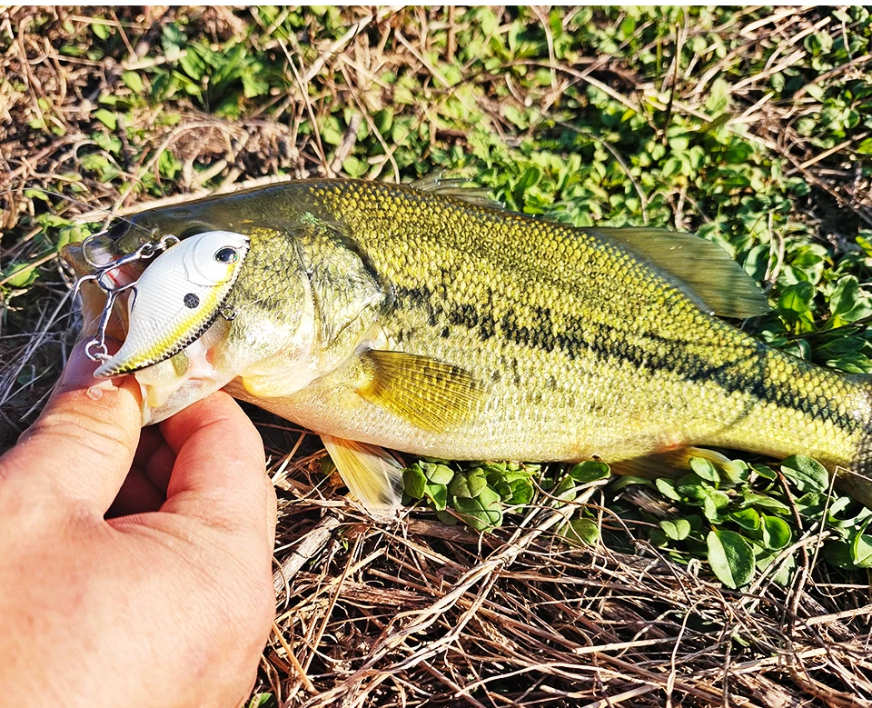 TSURINOYA 50S Vibration Fishing Lure Suit 5pcs 50mm 12.5g TEMPTER Winter Fishing VIB Hard Bait With Lure Box Lipless Tackle Kit