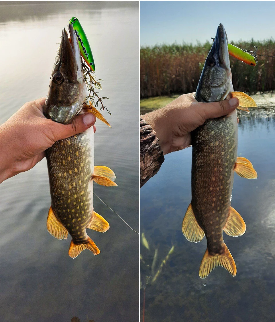 TSURINOYA 3pcs Floating Pencil Lure Set DW59 85mm 10.5g Topwater MInnow Crank Hard Bait Bass Snakehead Articial Wobblers Peche