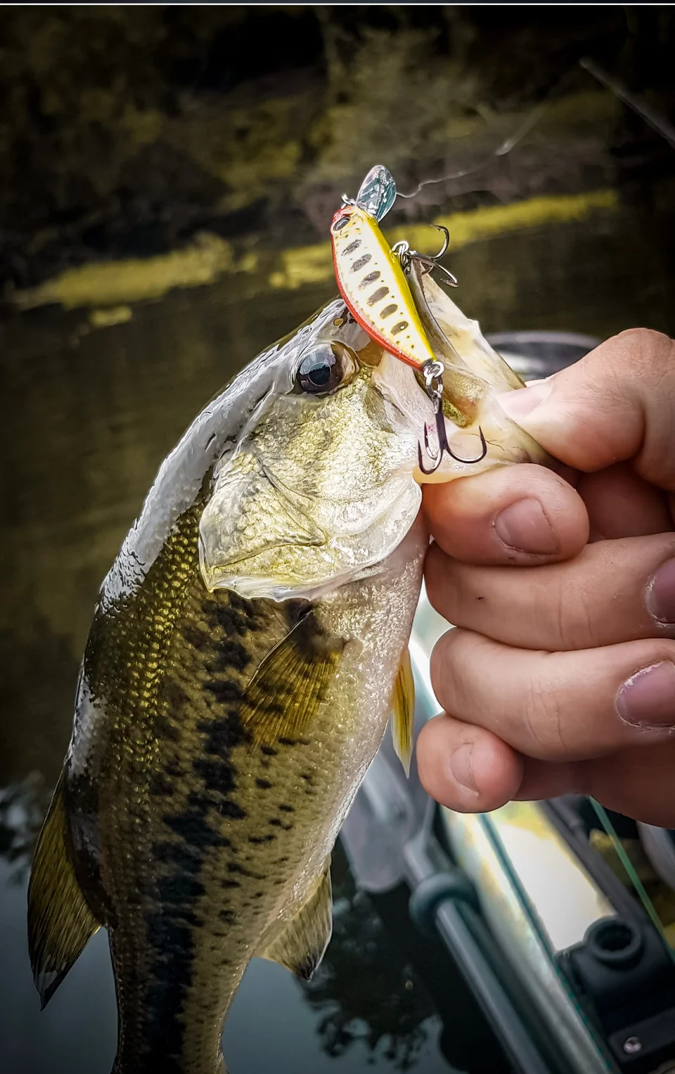 TSURINOYA Intruder 51S Set Sinking Minnow 5pcs With Lure Box 46mm 5g Stream Lake Hard Bait For Trout Ajing Bass Pike Fishing Kit