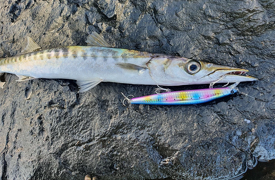 TSURINOYA Stinger 140S Fishing Lure Sinking Minnow DW92 140mm 26g Saltwater Seabass Ultra Long Casting Large Hard Baits Jerkbait TSURINOYA Stinger 140S Fishing Lure Sinking Minnow DW92 140mm 26g Saltwater Seabass Ultra Long Casting Large Hard Baits Jerkbait