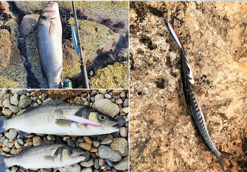 TSURINOYA Stinger 140S Fishing Lure Sinking Minnow DW92 140mm 26g Saltwater Seabass Ultra Long Casting Large Hard Baits Jerkbait TSURINOYA Stinger 140S Fishing Lure Sinking Minnow DW92 140mm 26g Saltwater Seabass Ultra Long Casting Large Hard Baits Jerkbait