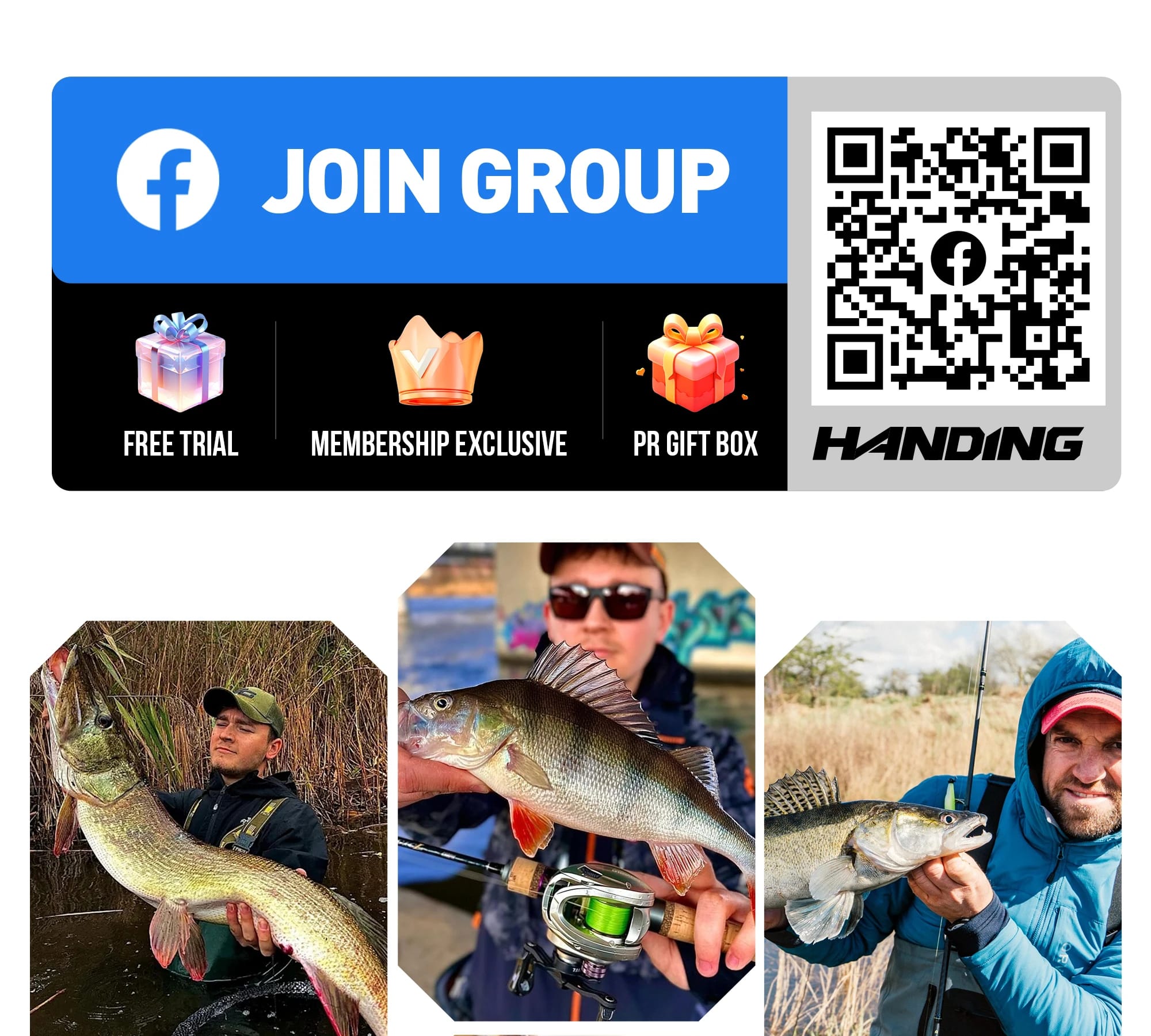 HANDING Beesting BFS Spinning Reel, 5:.2:1 Gear Ratio Ultralight Reels, 9+1 Ball Bearings, 12KG Max Drag for Trout Fishing Reel