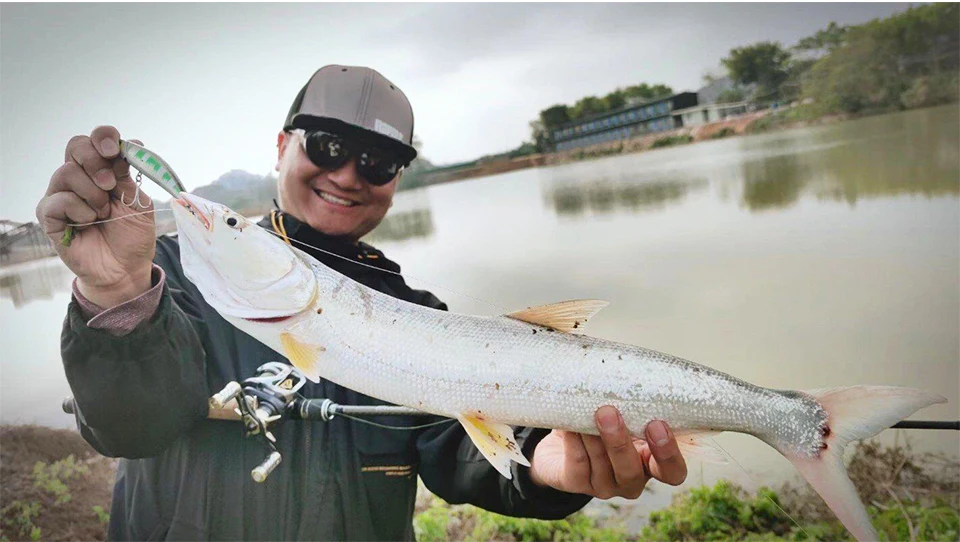 TSURINOYA 110S Long Casting Sinking Minnow Saltwater Fishing Lure DW77 110mm 22g Large Trout Pike River Lake Hard Baits Jerkbait