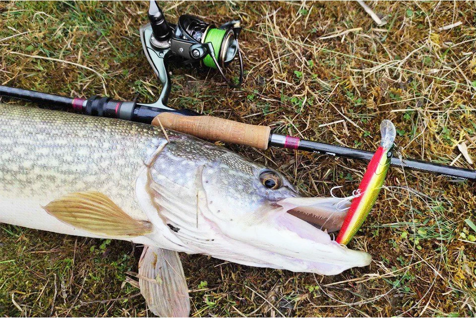 TSURINOYA 110S Long Casting Sinking Minnow Saltwater Fishing Lure DW77 110mm 22g Large Trout Pike River Lake Hard Baits Jerkbait
