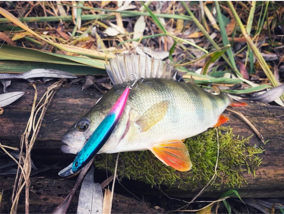 TSURINOYA 110S Long Casting Sinking Minnow Saltwater Fishing Lure DW77 110mm 22g Large Trout Pike River Lake Hard Baits Jerkbait