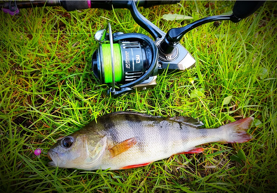 TSURINOYA 187g Ultra-light Spinning Fishing Reel RANGER 2000S 2500S 3000S Shallow Spool Long Casting Sea Fishing Pike Bass Wheel