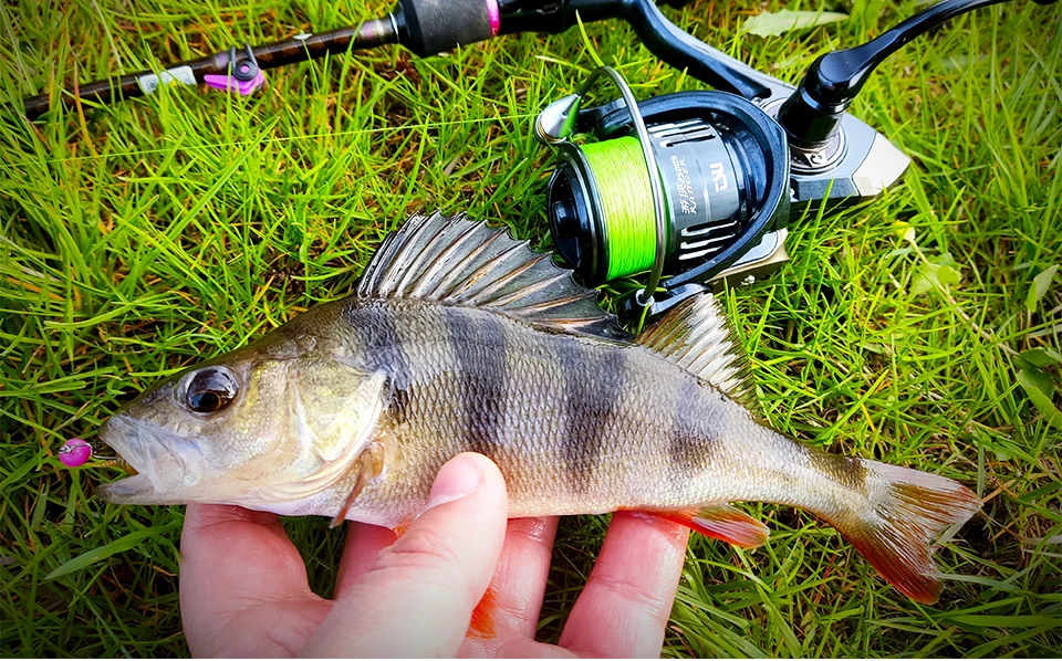 TSURINOYA 187g Ultra-light Spinning Fishing Reel RANGER 2000S 2500S 3000S Shallow Spool Long Casting Sea Fishing Pike Bass Wheel