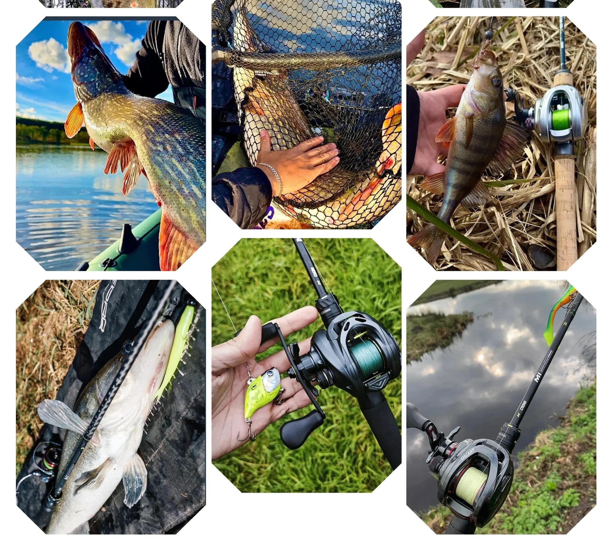 HANDING Flag Round Baitcasting Reel, Aluminum Alloy Body Fishing Reels, 13kg Max Drag, 5.3:1 Gear Ratio, 12+1 BB Reel for Pike