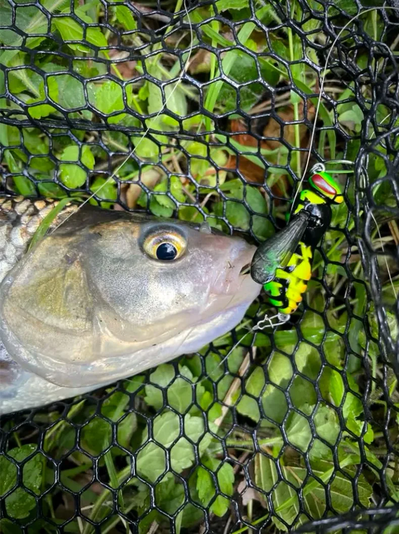 Kingdom Bait Artificial Fishing Lure 4.2g 40mm 6.6g 48mm Floating Insect Bionic Swimbaits Hard Baits For Bass Carp Pike Fishing