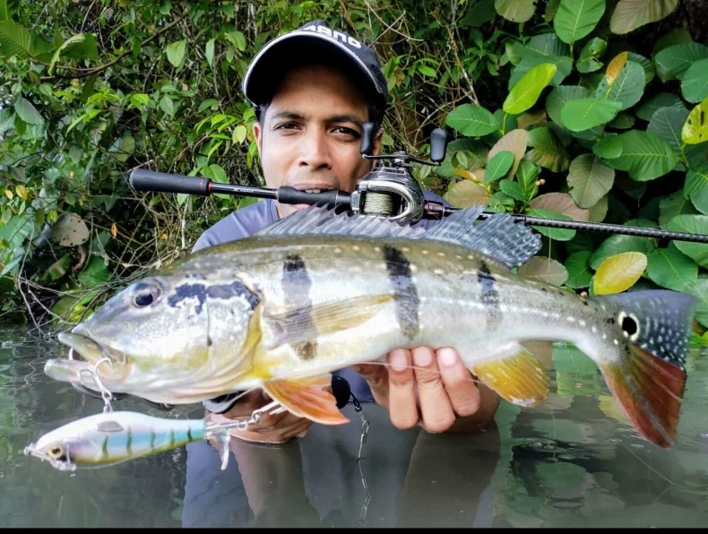 KINGDOM Topwater Fishing Lures 11g 17g Floating Artificial Hard Baits Plopper Propeller Soft Rotating Tail Seabass Fishing Lure