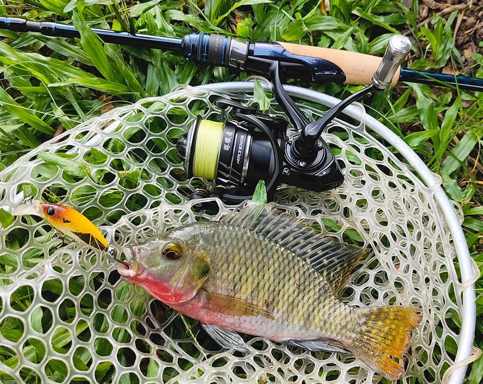 TSURINOYA NEW Spinning Fishing Reel ARTEMIS 800 1500S 2500SH 3000SH Shallow Spool Versatile Long Casting Reel High Speed Wheel
