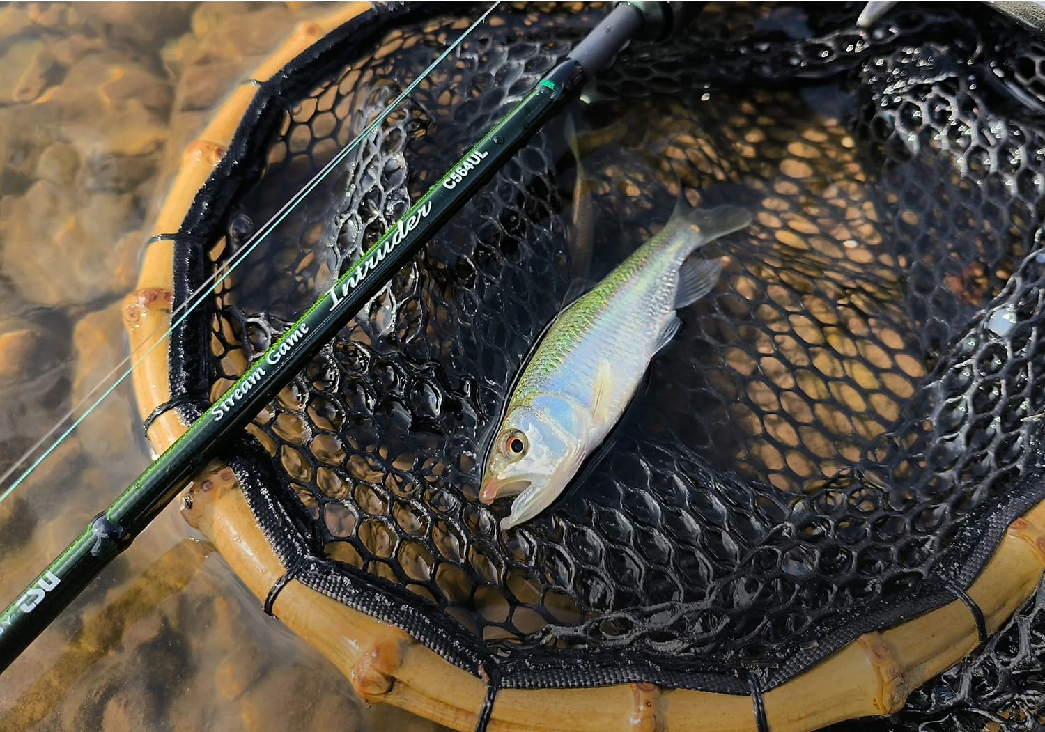 TSURINOYA INTRUDER 1.6m 1.68m 4 Section Portable Spinning Casting Fishing Rod For Trout Bass Pike Mountain Stream Packable Rod