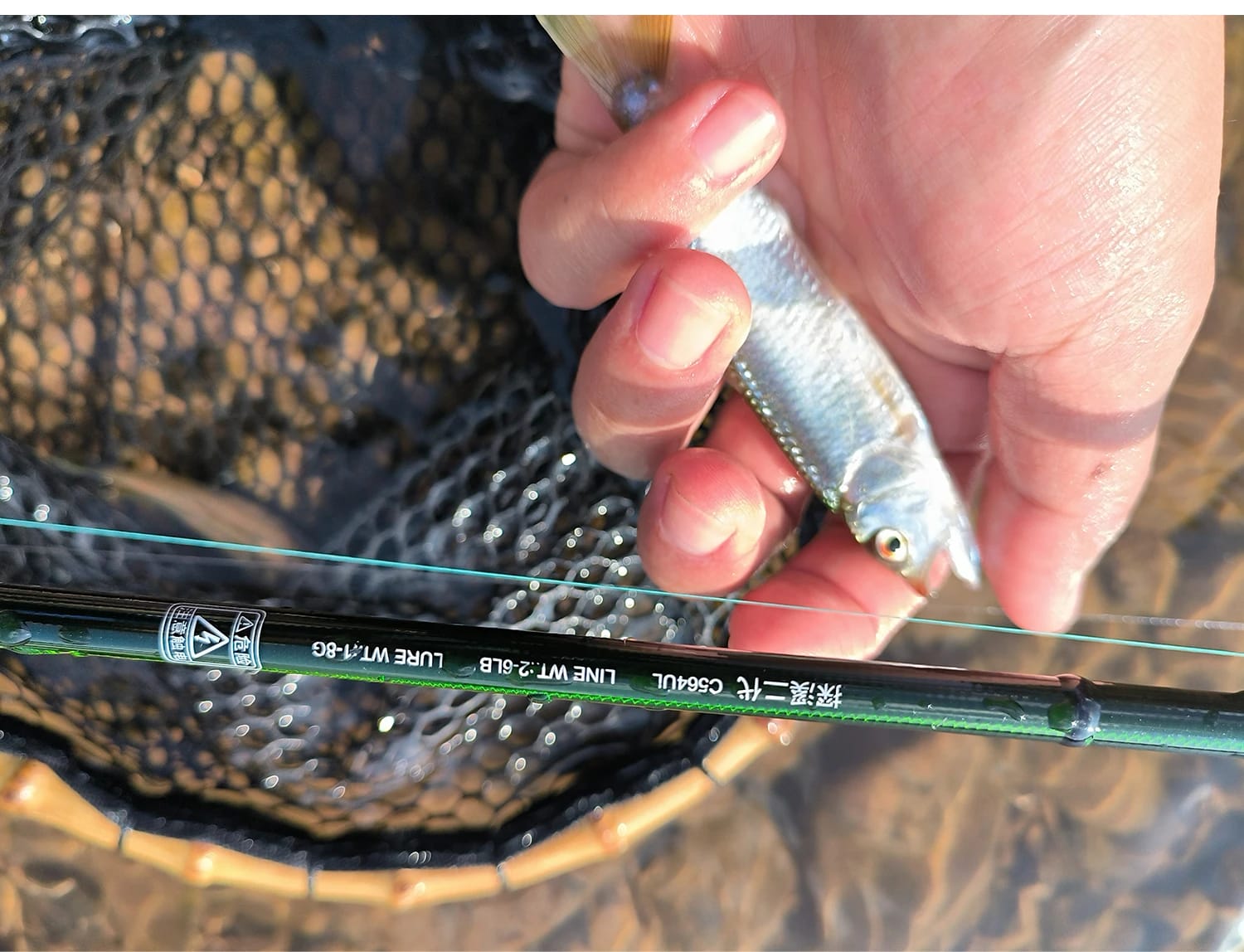 TSURINOYA INTRUDER 1.6m 1.68m 4 Section Portable Spinning Casting Fishing Rod For Trout Bass Pike Mountain Stream Packable Rod