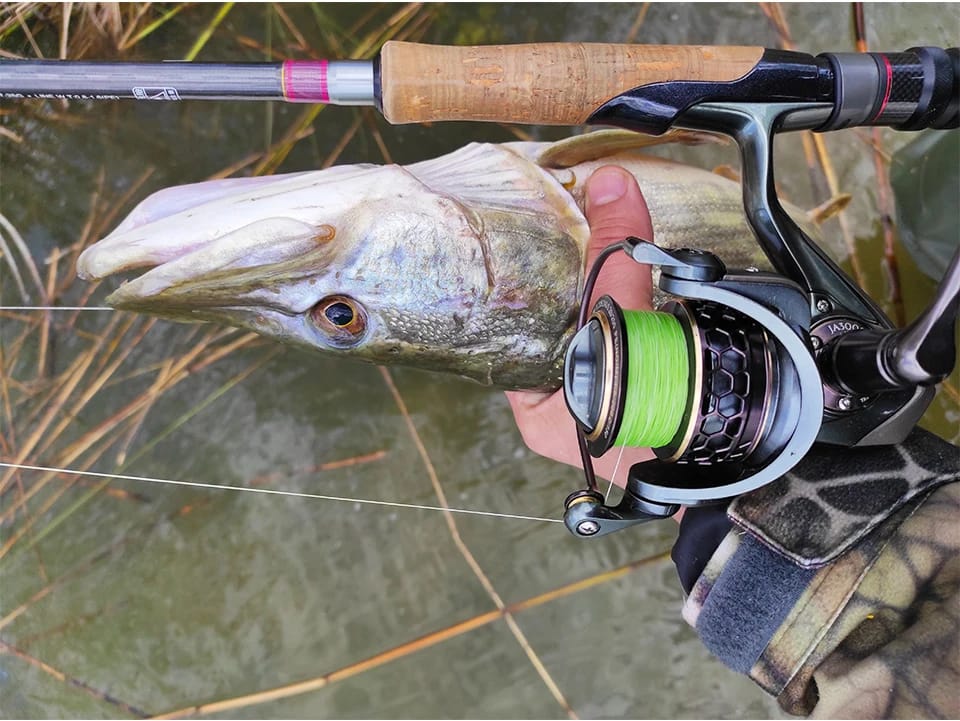 TSURINOYA 2 Spool Spinning Fishing Reel JAGUAR 1000 2000 3000 185G 6KG Max Carbon Drag Carp Saltwater Reel Bass Pike Wheel