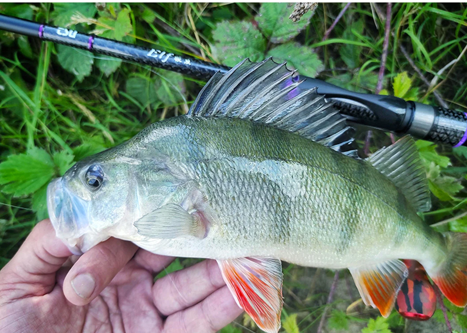 TSURINOYA Ultralight AJING Fishing Rod 2.49m L Power Elf  PRO S822L C822L Rockfish Lure Casting Spinning Fishing Rod Fast Action