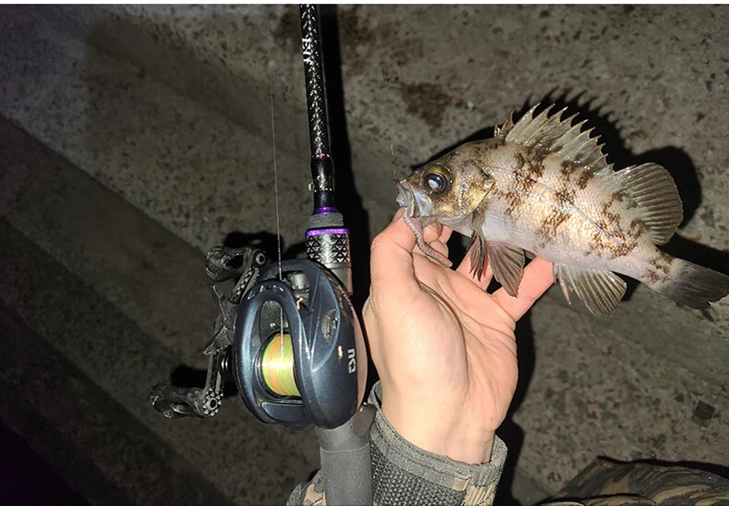 TSURINOYA Ultralight AJING Fishing Rod 2.49m L Power Elf  PRO S822L C822L Rockfish Lure Casting Spinning Fishing Rod Fast Action