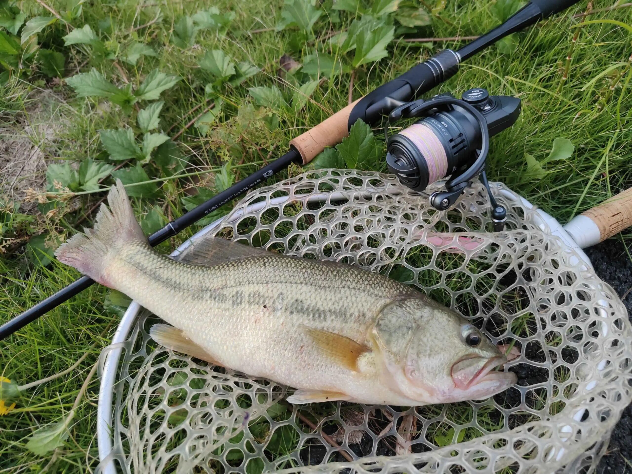 TSURINOYA 155g Ultra Light Spinning Fishing Reel FRERE C2000S 2500S 3000M Carbon Compact Body Shallow Spool Casting Versatile