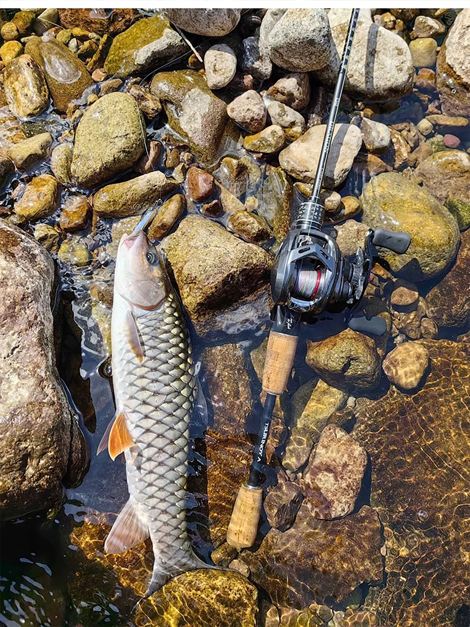 TSURINOYA DRAGON Light Game Fishing Rod 1.6m 1.8m UL Fast Action FUJI Guide Spinning Casting Carbon Rod For Trout Rochfish Bass