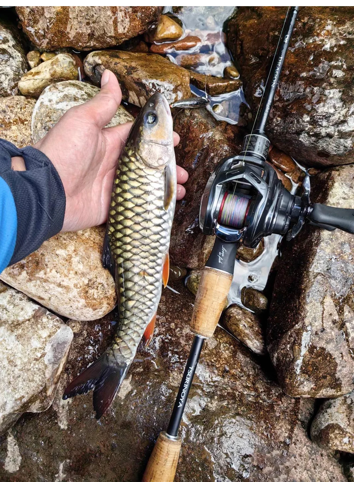 TSURINOYA DRAGON Light Game Fishing Rod 1.6m 1.8m UL Fast Action FUJI Guide Spinning Casting Carbon Rod For Trout Rochfish Bass