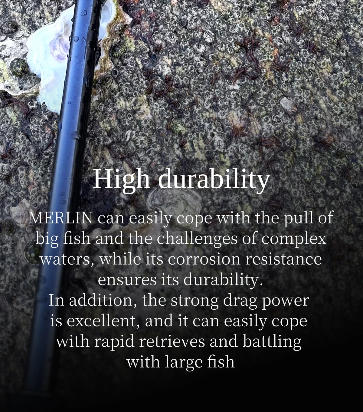 TSURINOYA METAL Spinning Fishing Reel MERLIN 1000 C2000S 165g baitcast reel  ULTRALIGHT &VERSATILE Saltwater Bass Pike Wheel