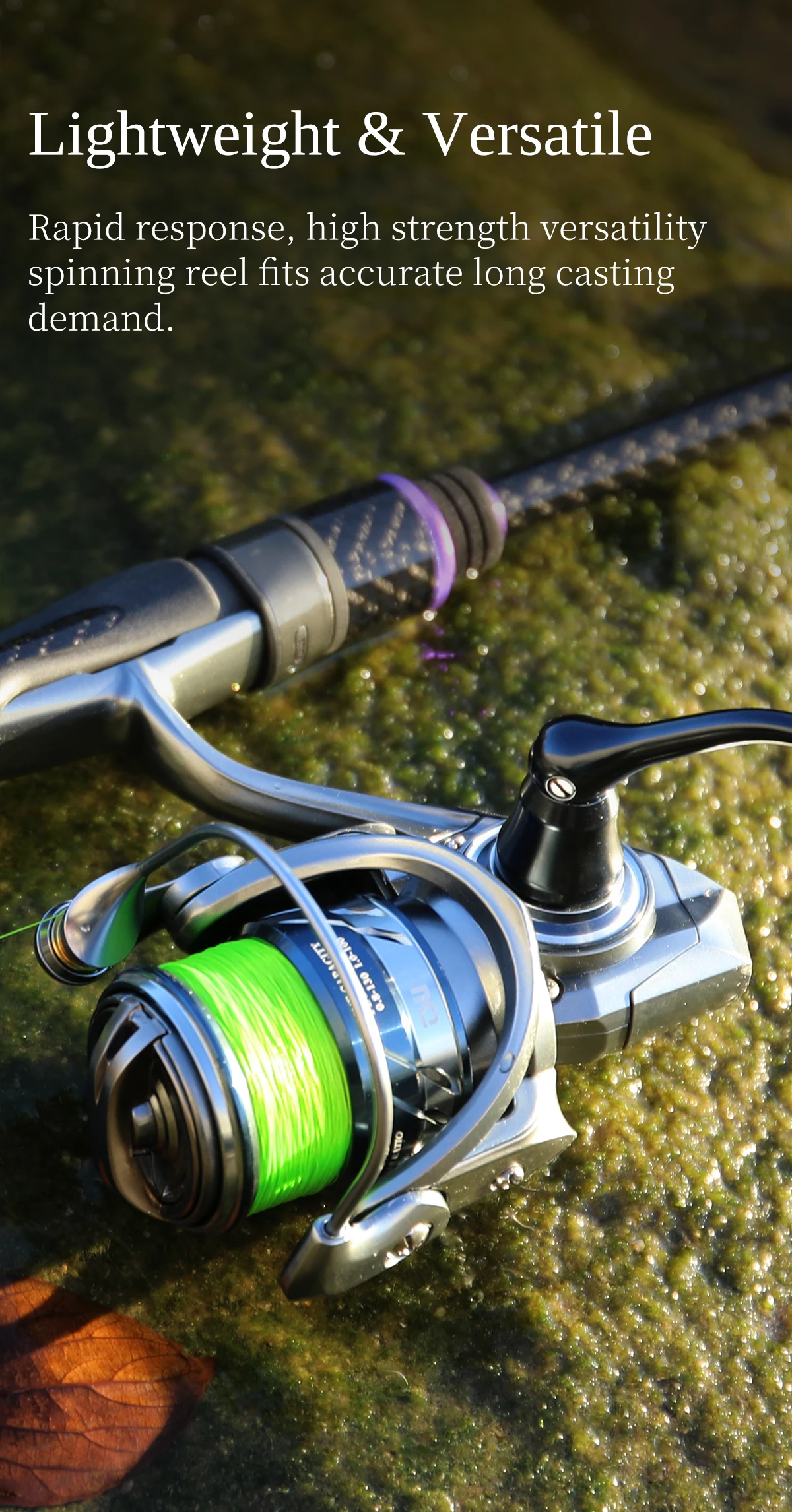 TSURINOYA METAL Spinning Fishing Reel MERLIN 1000 C2000S 165g baitcast reel  ULTRALIGHT &VERSATILE Saltwater Bass Pike Wheel
