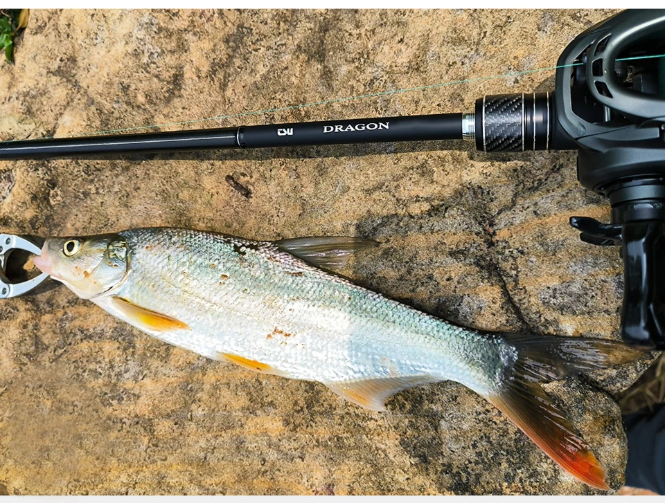 TSURINOYA DRAGON Fishing Rod 1.98m 2.08m L ML M Fast Action Spinning Casting Rod For Bass Pike FUJI Guide Carbon 2 Section Rod